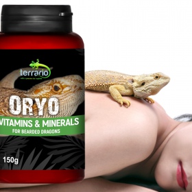 Terrario ORYO för Skäggagam 150g