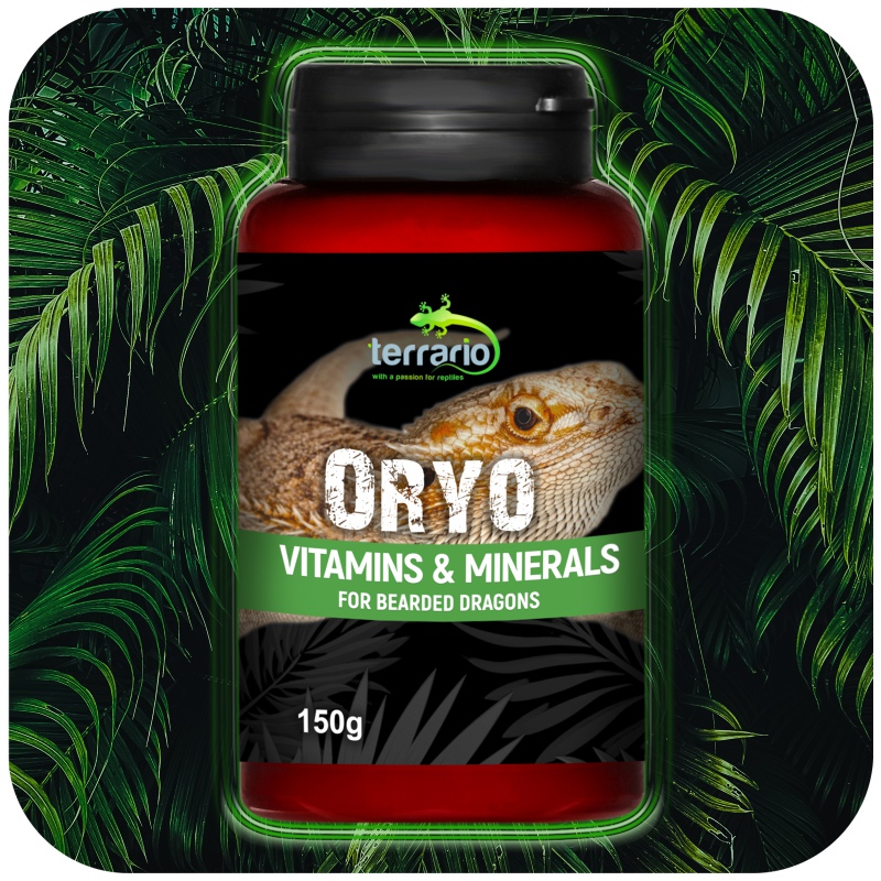 Terrario ORYO för Skäggagam 150g