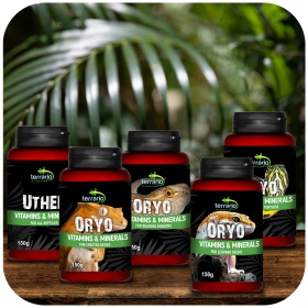 Terrario ORYO for Bearded Dragons 150g