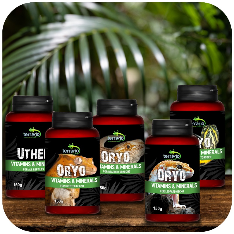 Vitamine per Drago Barbuto ORYO 150g