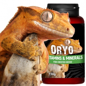 Terrario ORYO para Geko Corcunda 150g