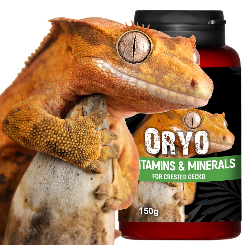 Terrario ORYO for Crested Gecko 150g - witaminy dla gekona orzęsionego