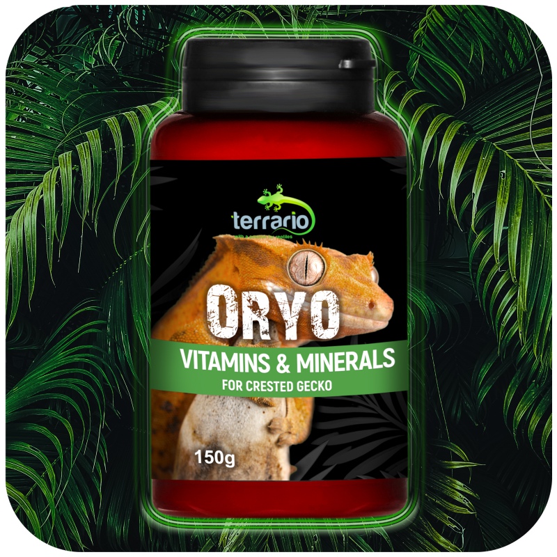 Terrario ORYO para Geko Corcunda 150g