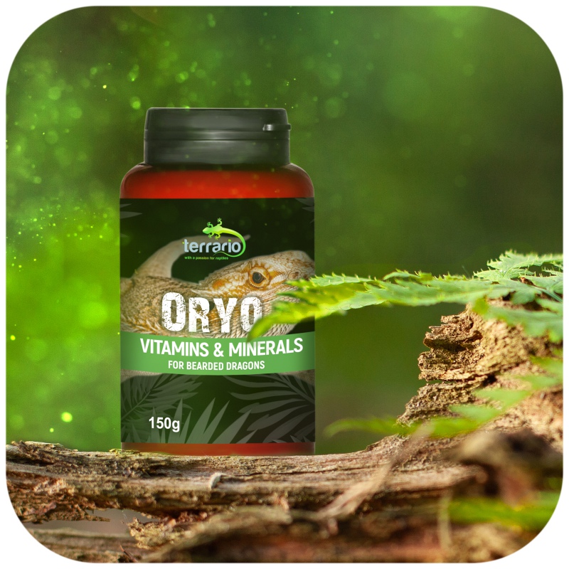 Terrario ORYO for Bearded Dragons 150g