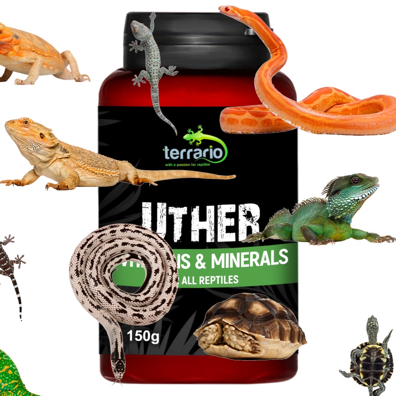 Terrario UTHER 150g para répteis e anfíbios