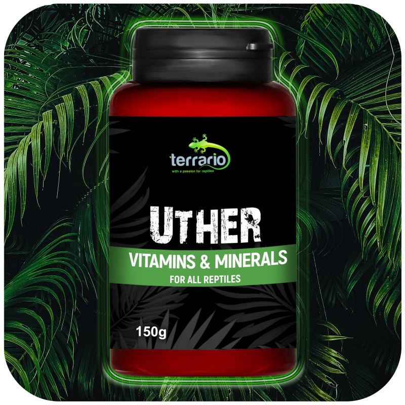 Terrario UTHER 150g para répteis e anfíbios