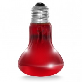 Resun Infrared Spot Lamp 50W żarówka grzewcza