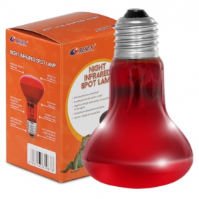 Lampe à Spot Infrarouge 25W pour Reptiles