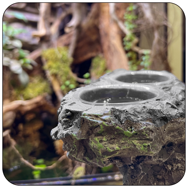 Resun Hanging Stone Dish - dekoracyjna miska w terrarium