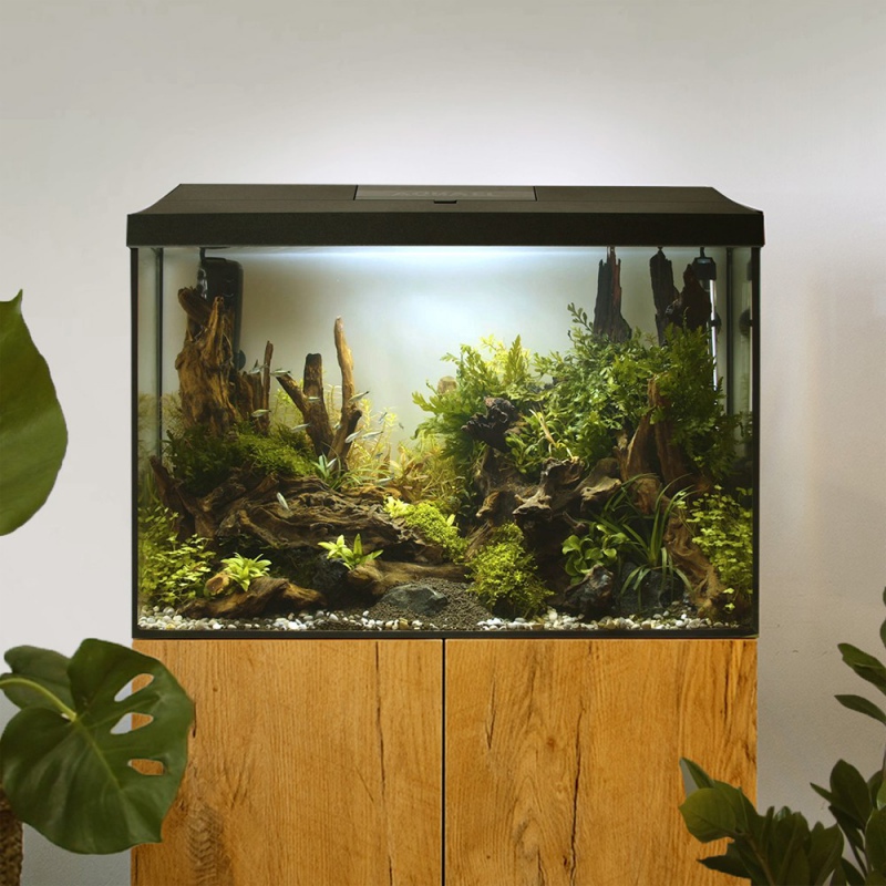 Aquael Leddy XL 40 Day&Night aquarium