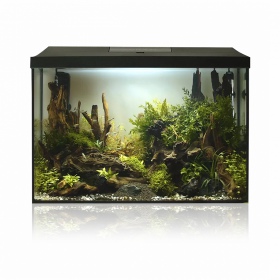 Aquael Leddy XL 40 Day&Night akvarieset