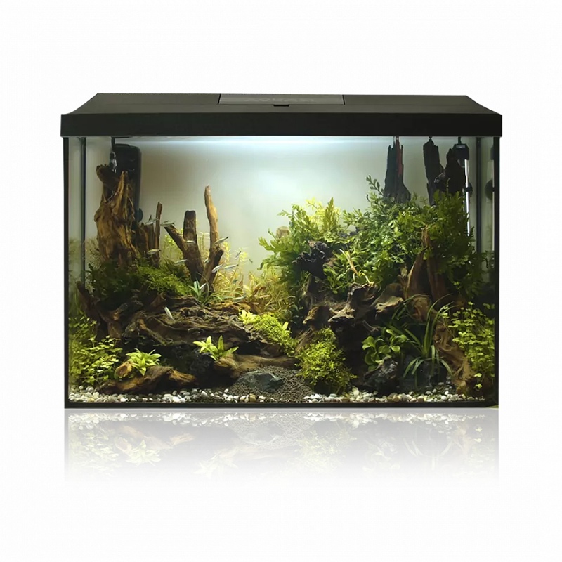 Aquael Leddy XL 40 Day&Night aquarium