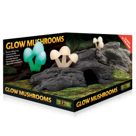 EXO TERRA Glow Mushrooms met paddenstoelen