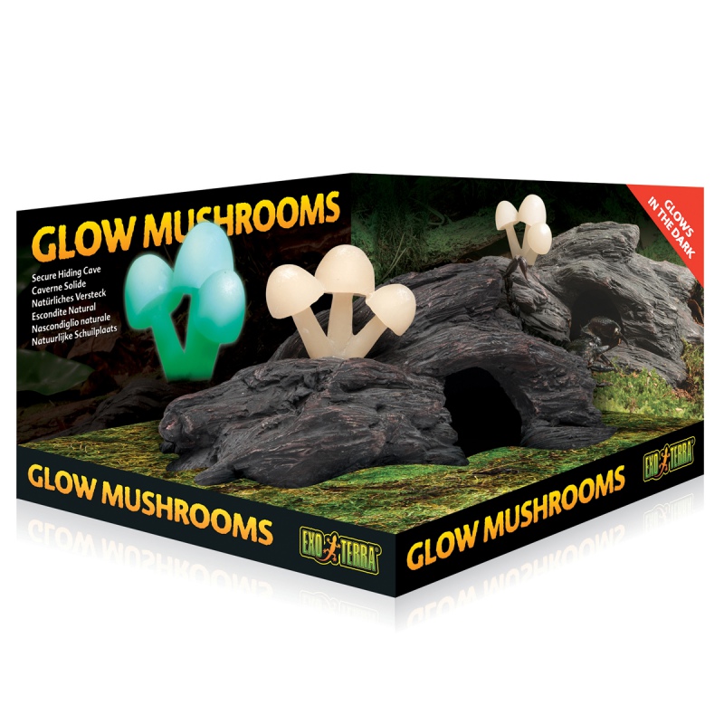 Cogumelos Glow Exo Terra em terrário