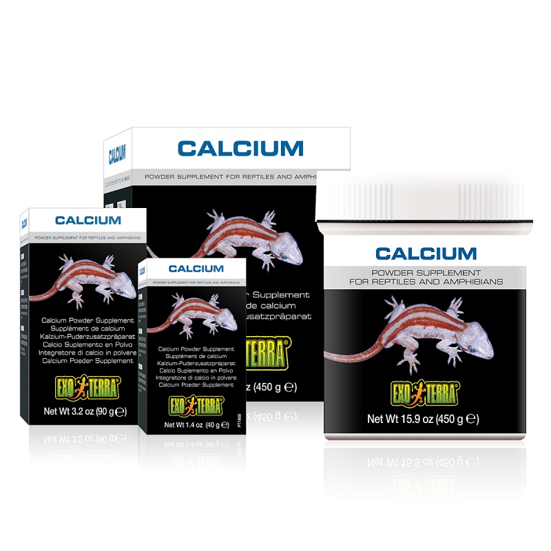 EXO TERRA Calcium für Reptilien, 90g