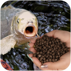 Glopex Alimentación Roja Premium - Alimento para Peces