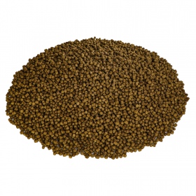 Glopex Premium Algen Feed - Alimento para Peixes