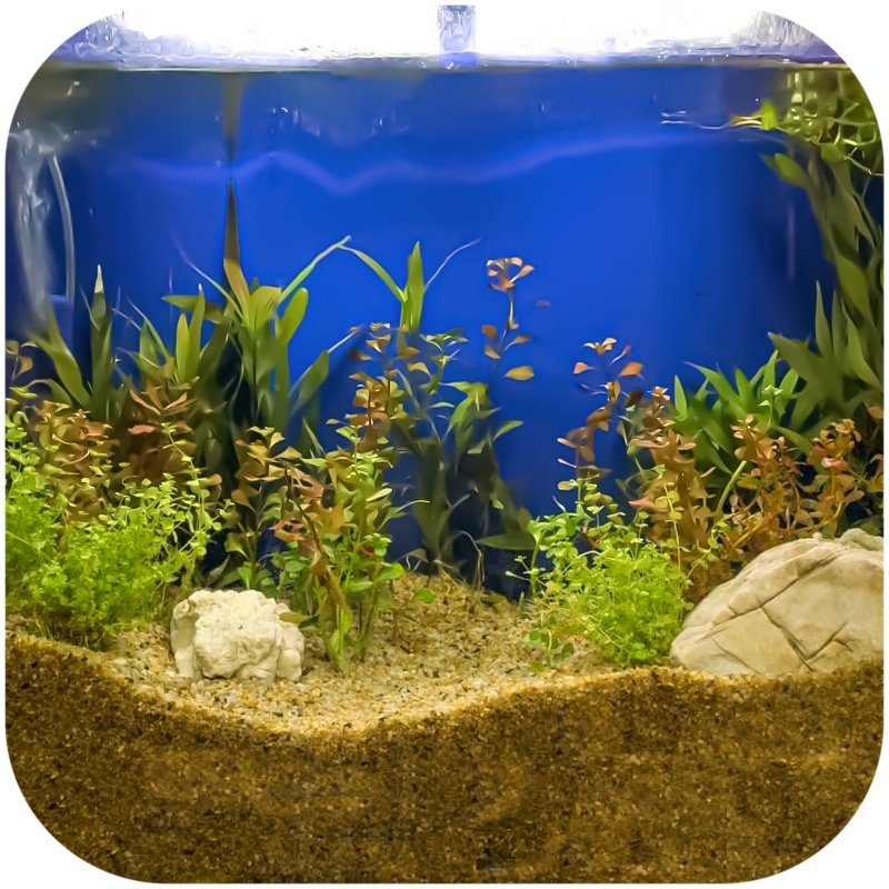 Eco Plant Natürlicher Fluss 1kg - Kies 1-3mm für Aquarien