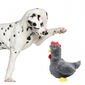 Pet Nova plush squeaky chicken toy