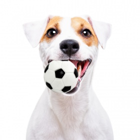 Pelota de Fútbol Pet Nova de 7cm