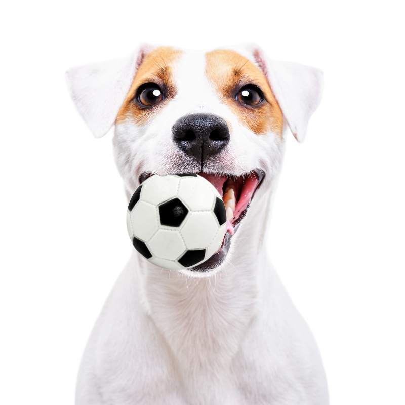 Pet Nova rubber toy - football ball 7cm