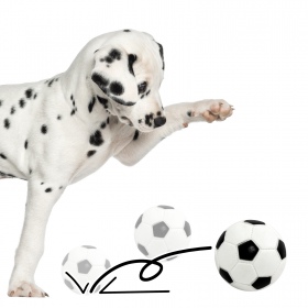 Pet Nova rubber toy - football ball 7cm