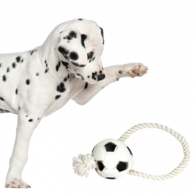 Bola de futebol Pet Nova com corda