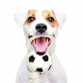 Giocattolo in gomma per cani - Pallone da calcio