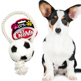 Pet Nova - Ball für den Hund 26 cm