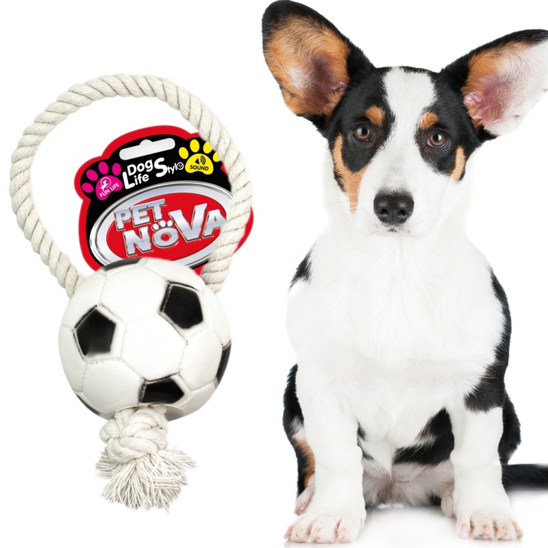 Bola de futebol Pet Nova com corda