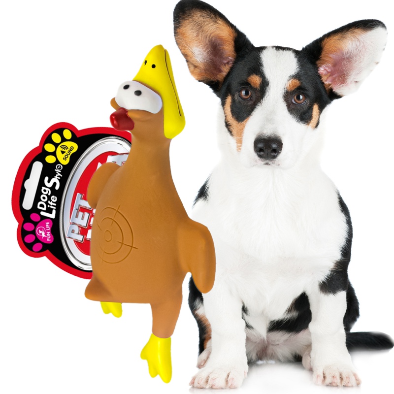 Pet Nova rubber toy - brown chicken