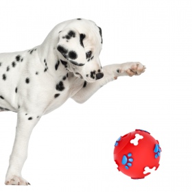 Pet Nova rubber ball for dogs