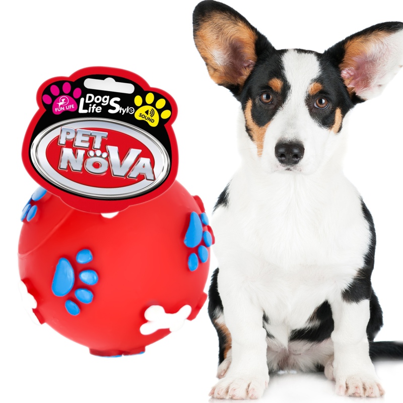 Pelota de goma Pet Nova - diseño de patas y huesos