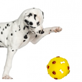 Pet Nova - Gummiball Spielzeug 7.5cm Gelb