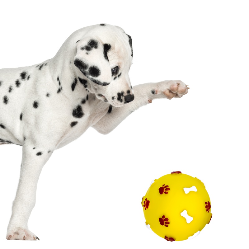 Pet Nova rubber ball toy for dogs