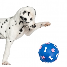 Pet Nova blue rubber toy with paw and bone pattern