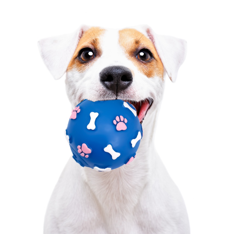 Pet Nova blue rubber toy with paw and bone pattern