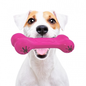 Pet Nova pink treat bone for dogs