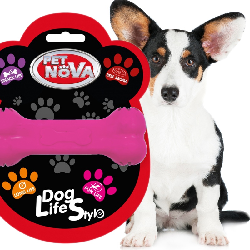 Pet Nova pink treat bone for dogs