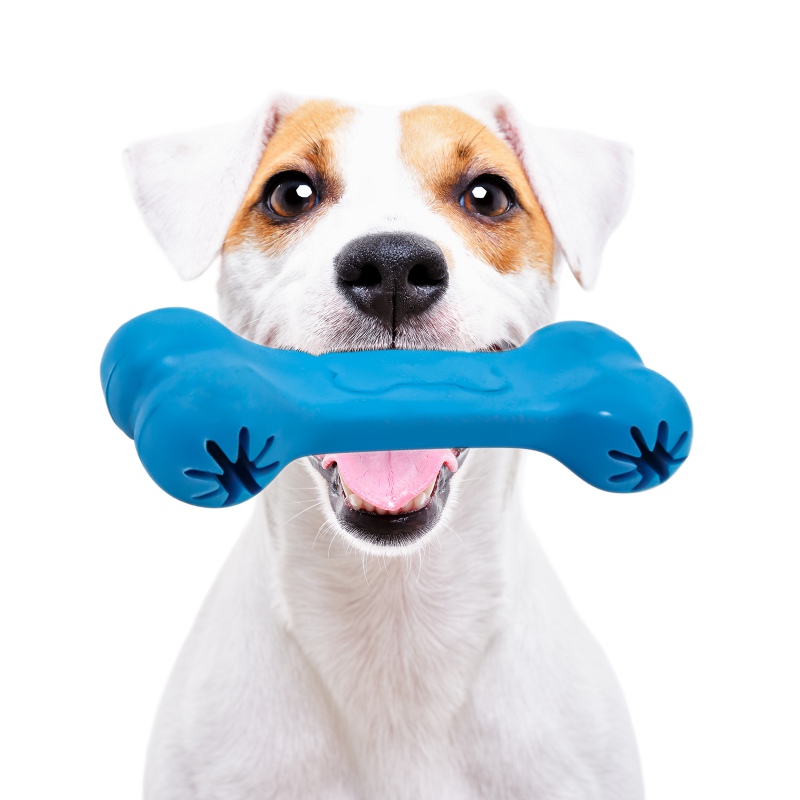 Pet Nova Blue Beef Flavor Chew Toy 11cm