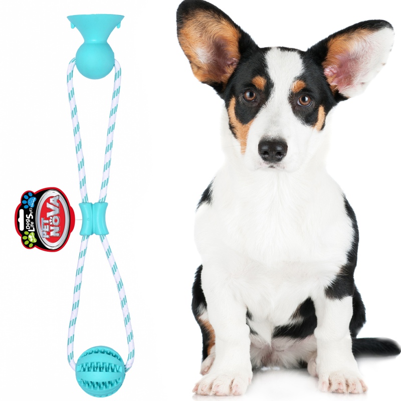 Pet Nova dental ball with suction cup