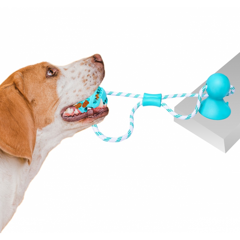 Hundespielzeug: Dentalball mit Saugnapf