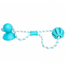 Pet Nova dental ball with suction cup