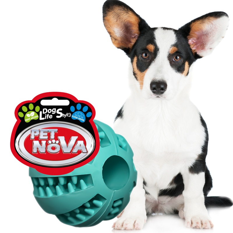 Pelota superdental de béisbol para perros