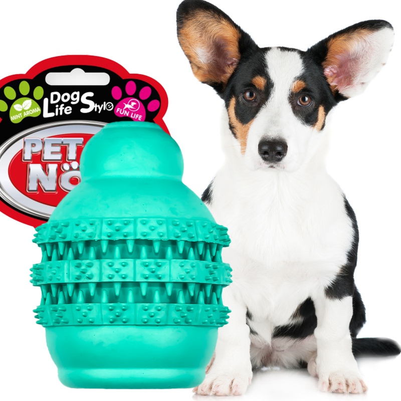 Pet Nova mint green dental jumper ball