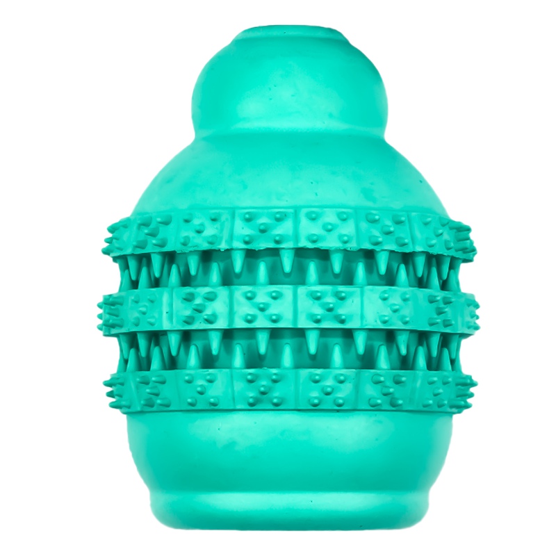 Pet Nova mint green dental jumper ball