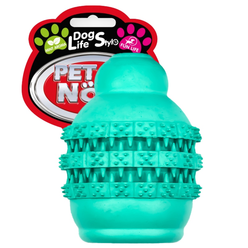 Pet Nova mint green dental jumper ball