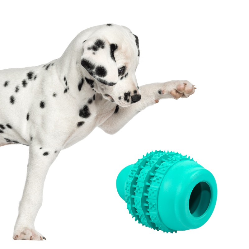 Pet Nova mint green dental jumper ball