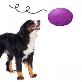 Frisbee roxo Pet Nova - 22cm