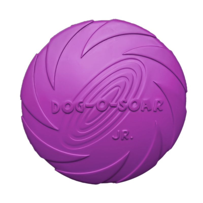 Frisbee roxo Pet Nova - 22cm